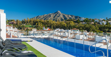 ������������ � �������: ����� ����� �������� � ������ Nueva Andalucia.