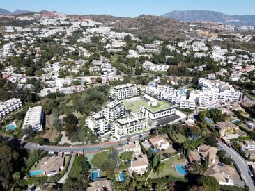 ������������ � �������: ����������� � ����� ����������� ����